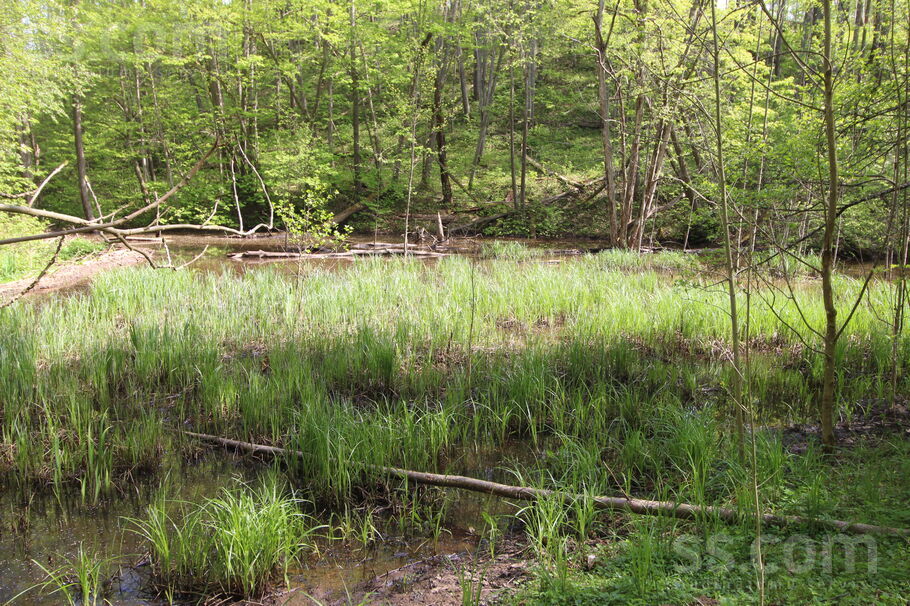 Kāši-Ventas, Daugavpils un raj., Medumu pag. — zeme