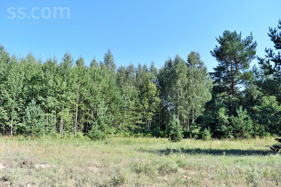 Laimes zeme, Jaunsils, Rīgas rajons, Ķekavas pag. — zeme