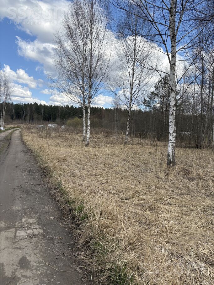 D/s liesma 108, Brodi, Jēkabpils un raj., Ābeļu pag. — zeme