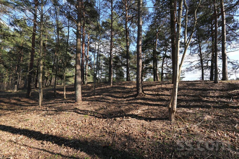 Baložu prospekts 27, Ropaži, Rīgas rajons, Ropažu nov. — zeme