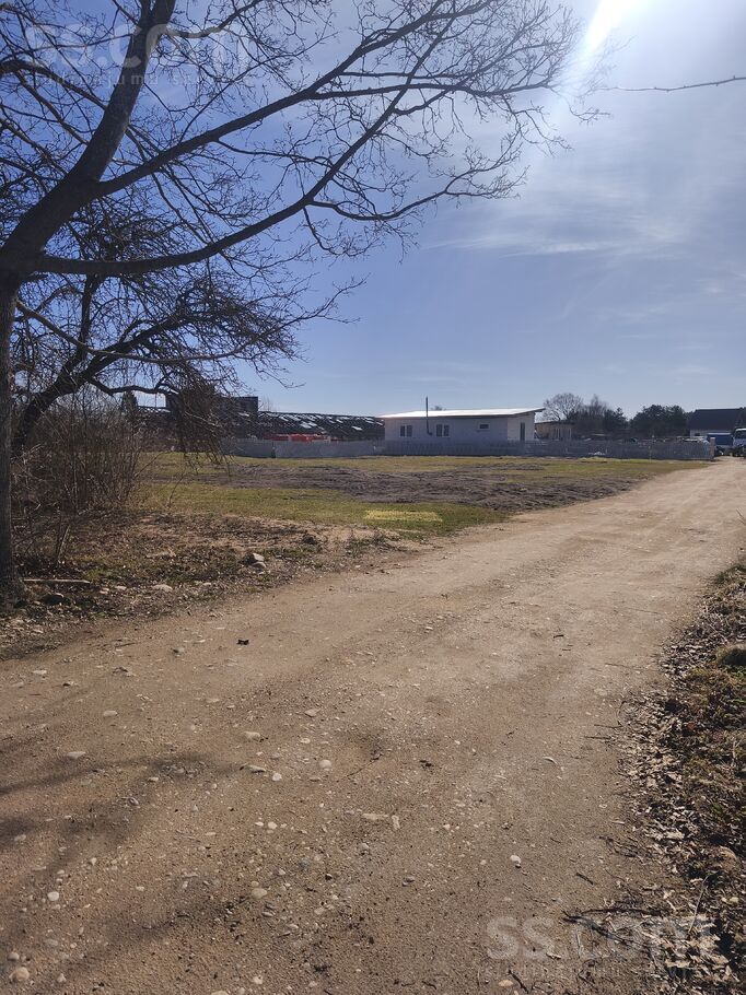 Bērzu iela 23, Engure, Tukums un raj., Engures pag. — zeme