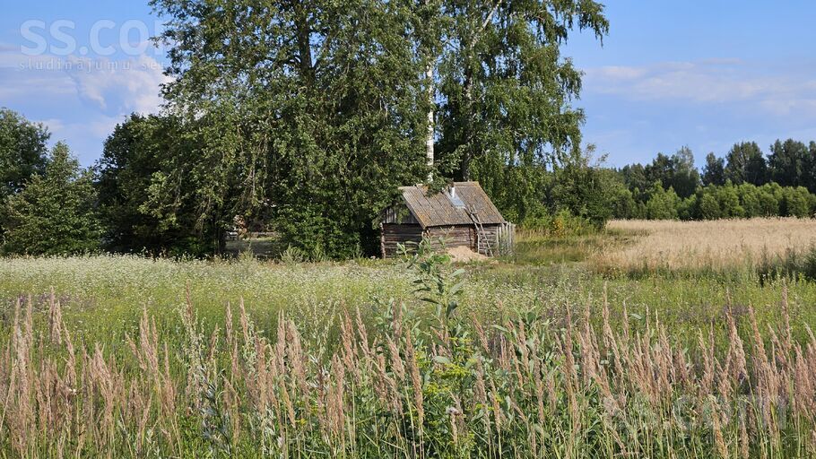 Rēzekne un raj., Viļāni — vienseta
