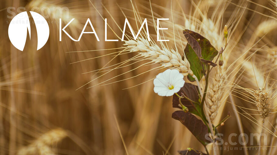 Vizlas, Vārpas, Rīgas rajons, Baldones l. t. — zeme
