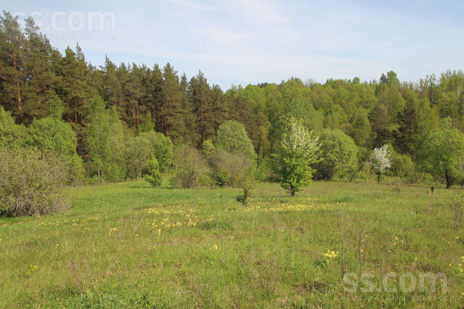 Kāši-Ventas, Daugavpils un raj., Medumu pag. — zeme