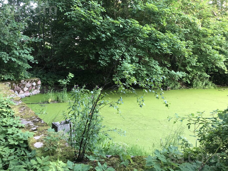 Lamiņi, Tukums un raj., Pūres pag. — vienseta