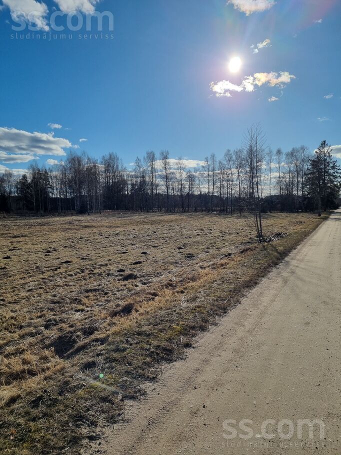 Ceriņu iela 29, Mērsrags, Talsi un raj., Mērsraga pag. — zeme