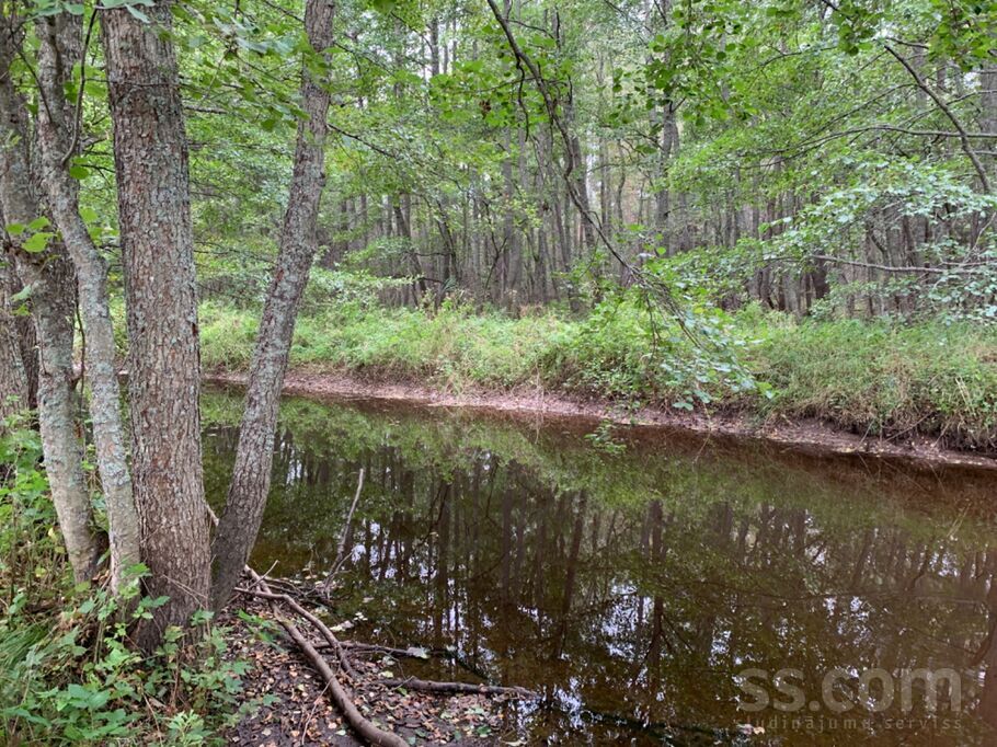 Buciņi, Lielirbe, Ventspils un raj., Tārgales pag. — zeme