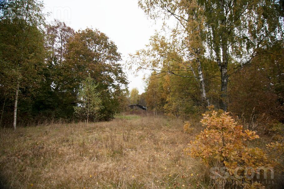Ārstniecības iela 1, Rīgas rajons, Baldone — zeme