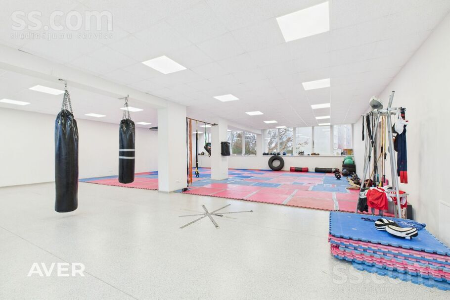 Ausekļa iela 16, Ogre un raj., Lielvārde — telpa