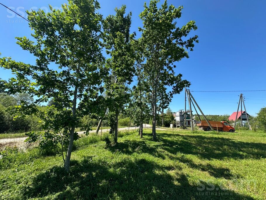 Vizbule 99, Jāņupe, Rīgas rajons, Olaines pag. — zeme