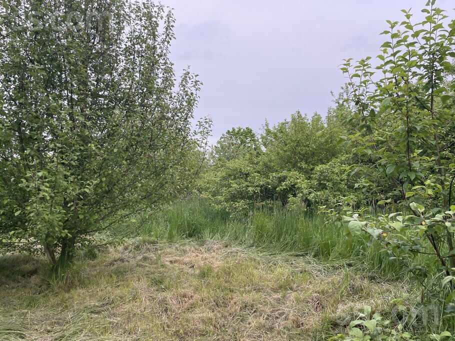 Jaunciema g., Rīga — zeme