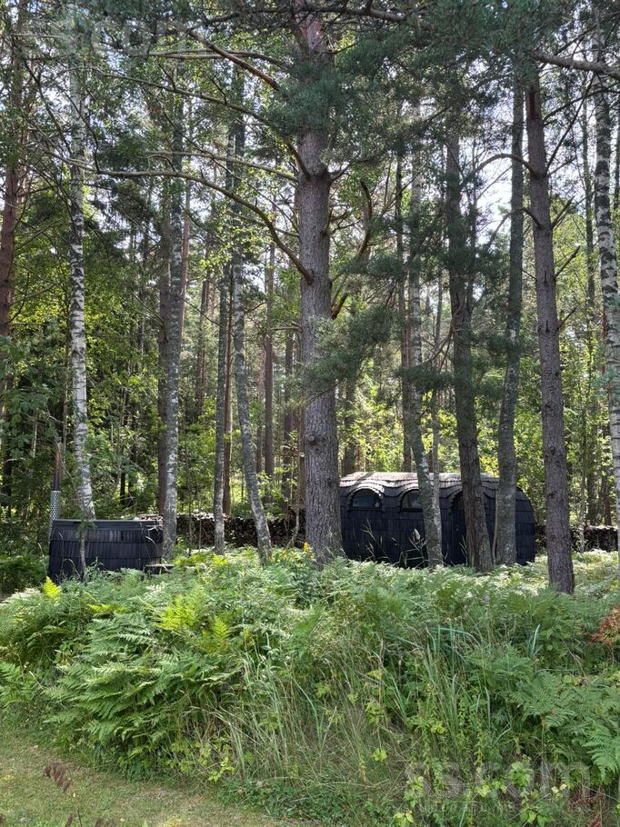 Plūmes/oāzes, Mazirbe, Talsi un raj., Kolkas pag. — maja