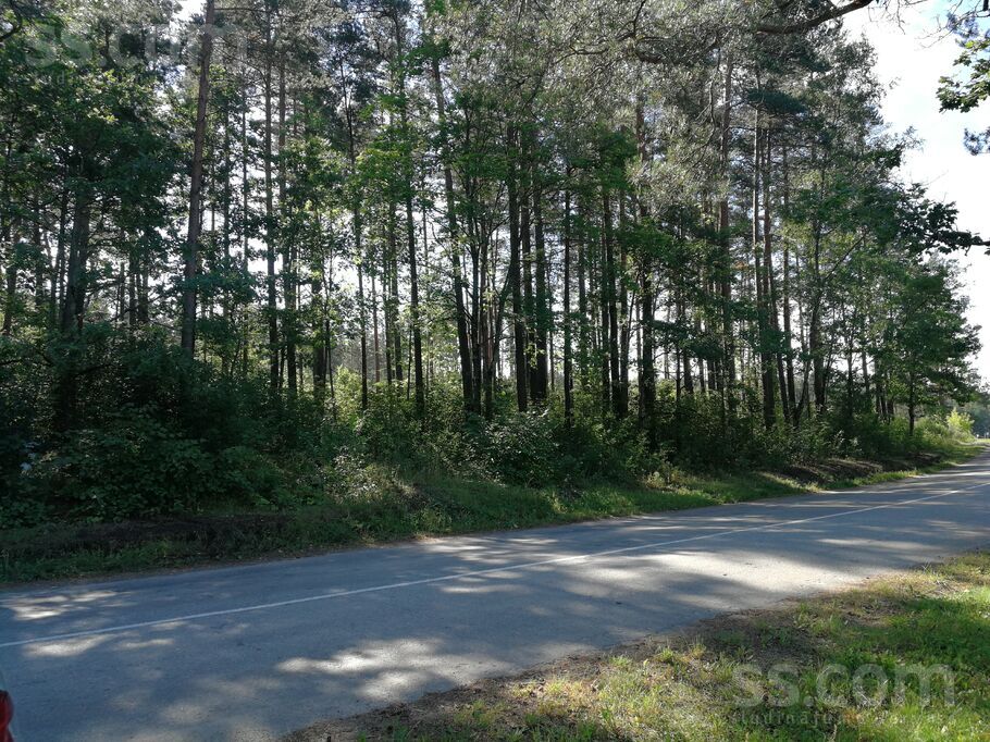 Garkalne 1, Garkalne, Rīgas rajons, Ādažu nov. — zeme