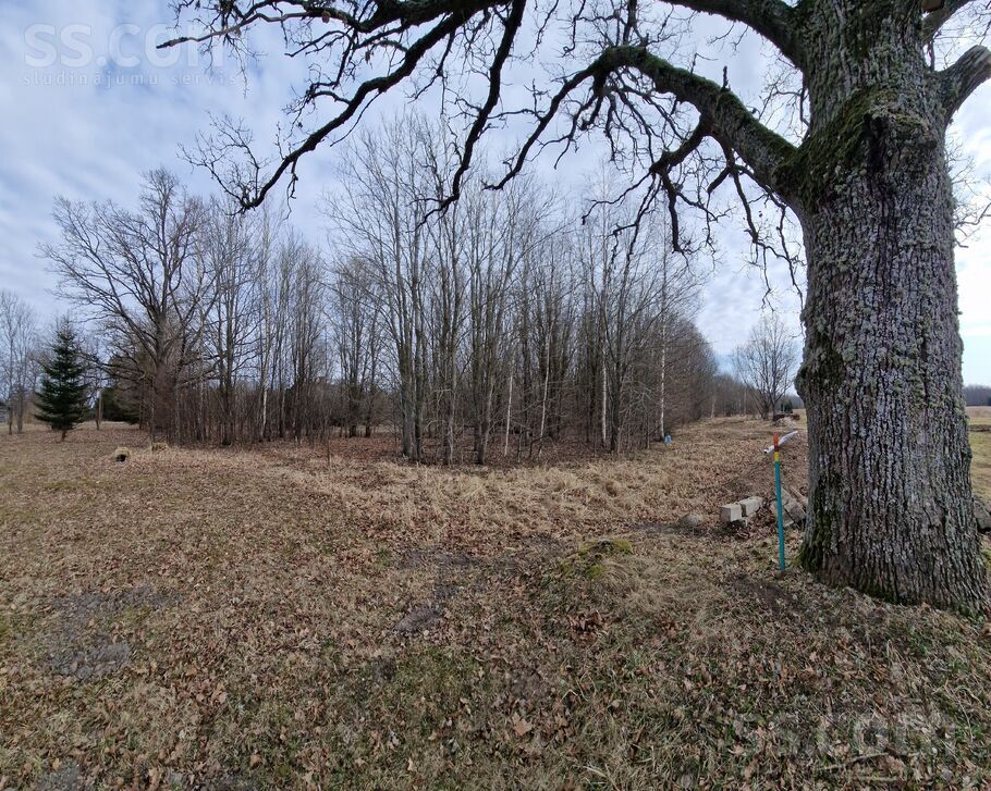 Vite, Rīgas rajons, Mālpils pag. — vienseta