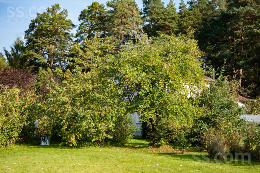 Dzilgravas 1, Jūrmala — maja