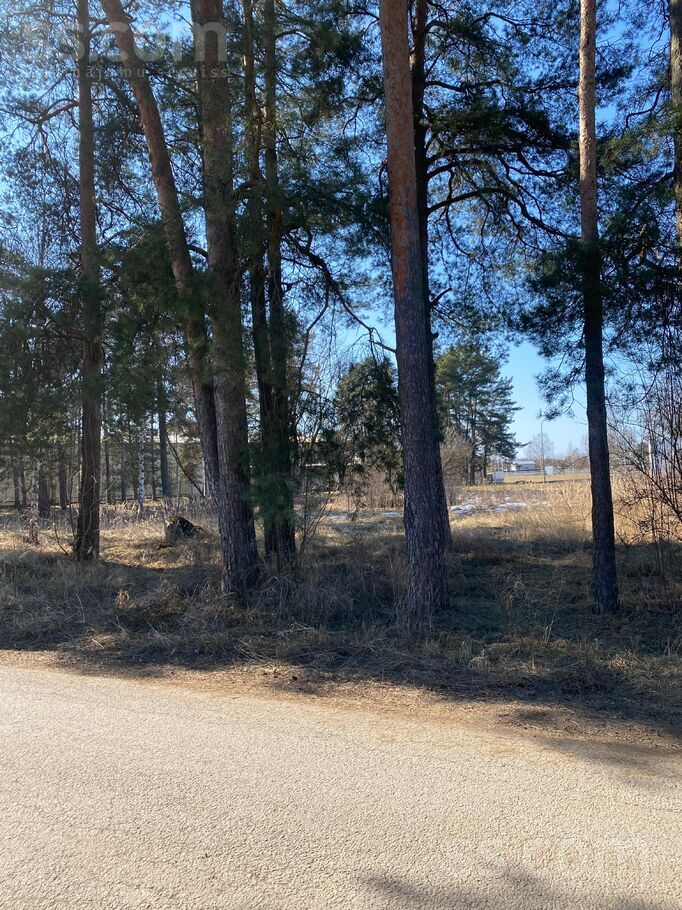 Dzirnavu iela 2a, Jēkabpils un raj., Jēkabpils — zeme