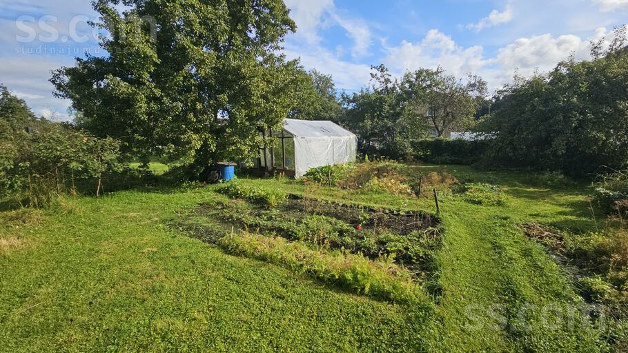 Viesturi Raf 217, Jelgava un raj., Jelgava — maja