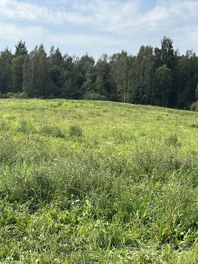 Čapkova 12, Čapkova, Rēzekne un raj., Griškānu pag. — zeme