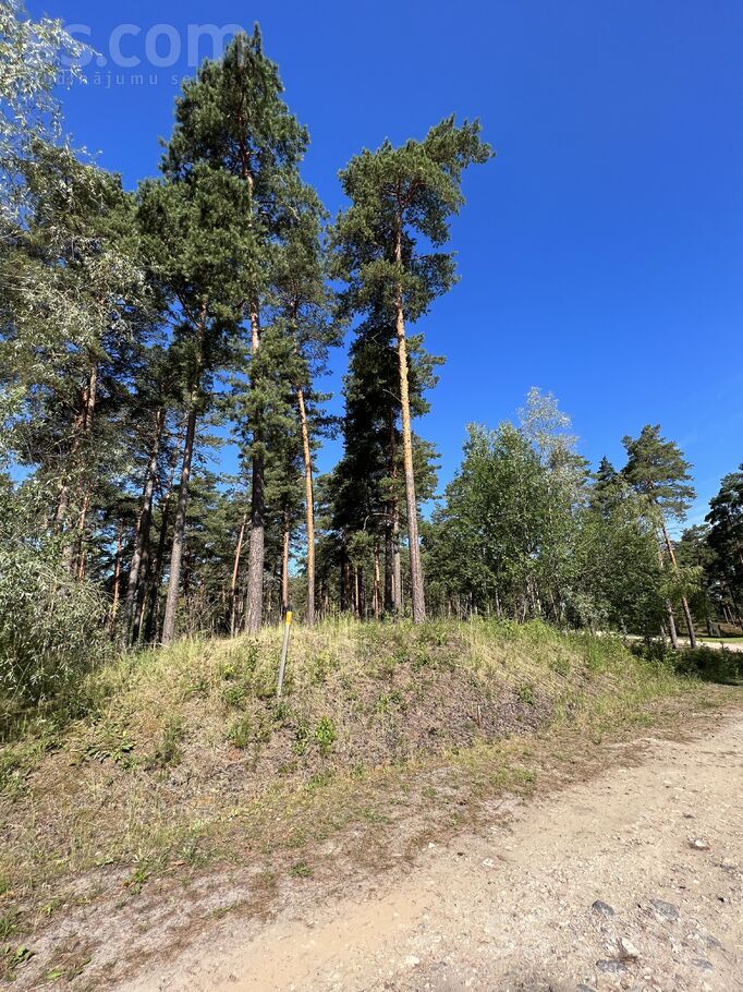 Ūdeņu iela 4, Gauja, Rīgas rajons, Carnikavas nov. — zeme