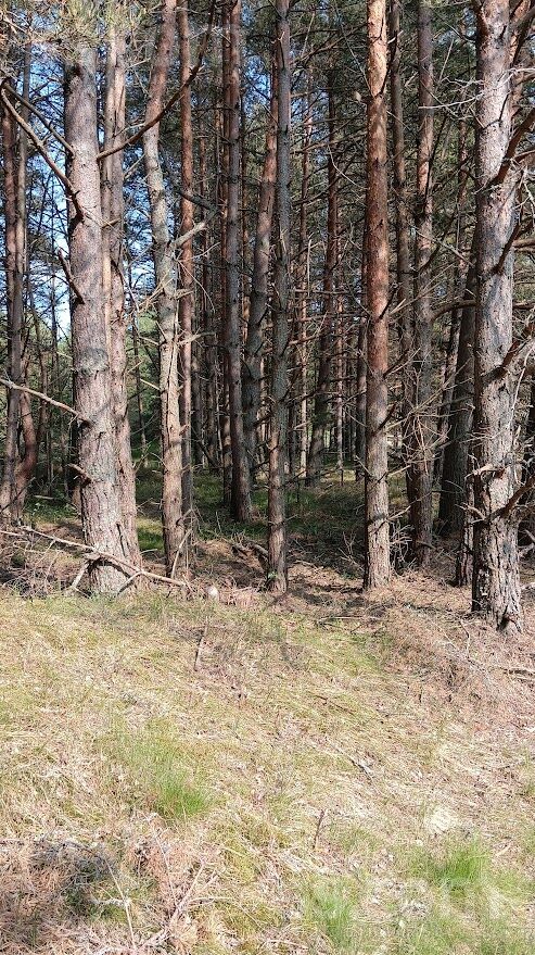 Lōrm nītõd, Sīkrags, Talsi un raj., Kolkas pag. — zeme