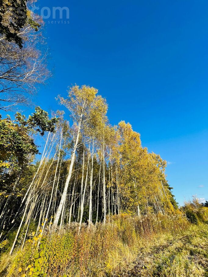 Eglītes, Pēternieki, Rīgas rajons, Olaines pag. — zeme