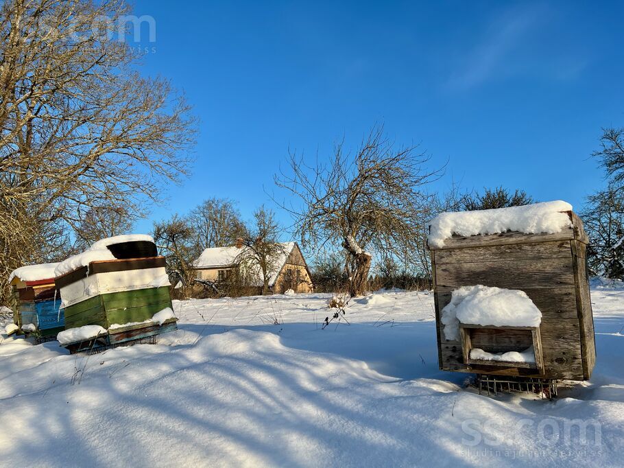 Kalna Vērsēni, Aizkraukle un raj., Klintaines pag. — maja