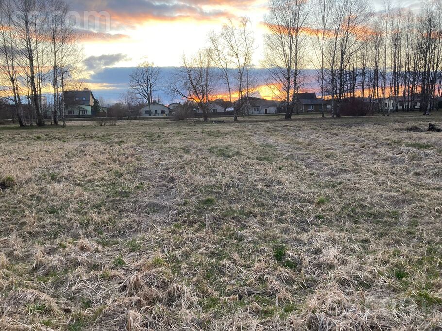 Viskaļu 46, Jelgava un raj., Jelgava — zeme