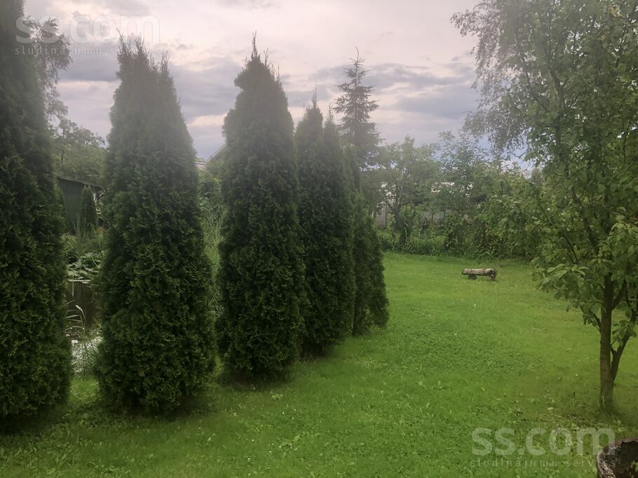 34 22, Šķēde, Liepāja un raj., Medzes pag. — maja