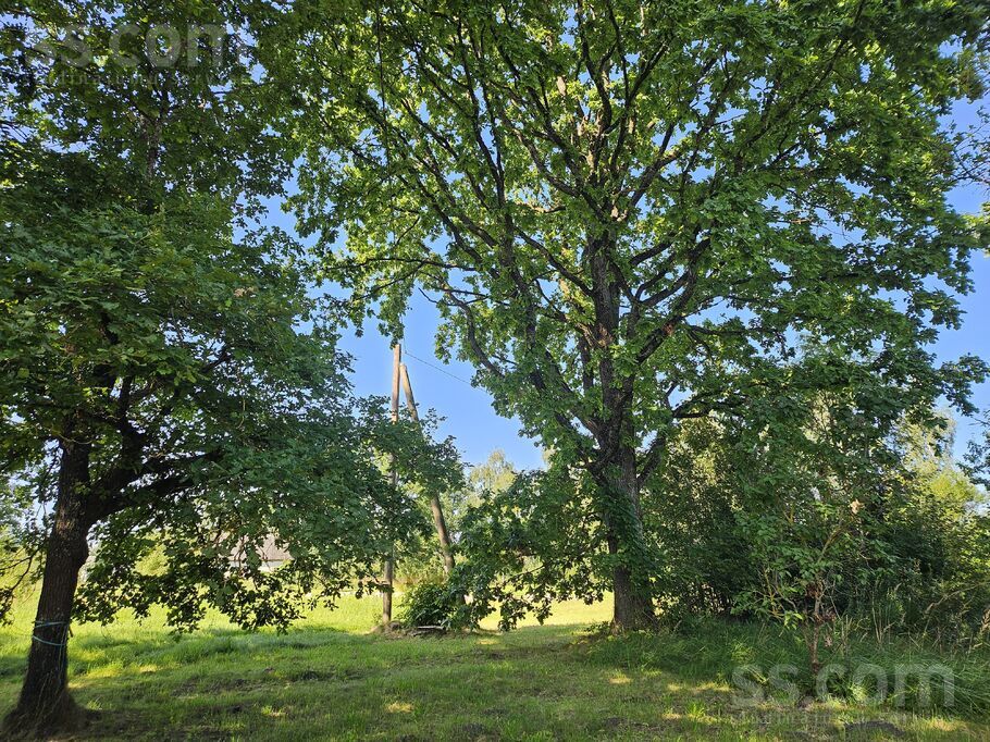 Jaunzelmeņi, Brankas, Jelgava un raj., Cenu pag. — zeme