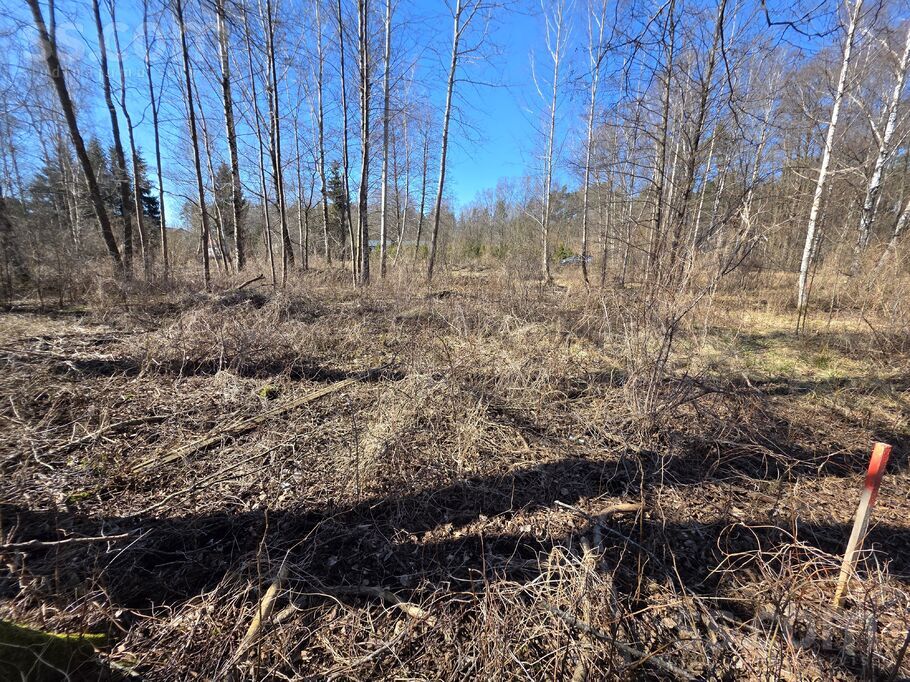 Ceriņu 13, Stūnīši, Rīgas rajons, Olaines pag. — zeme