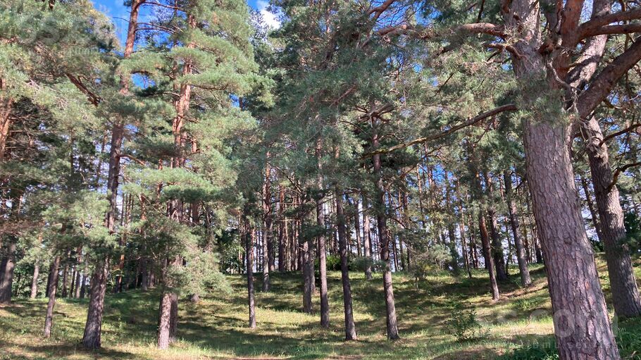 Dzilgravas 1, Jūrmala — maja