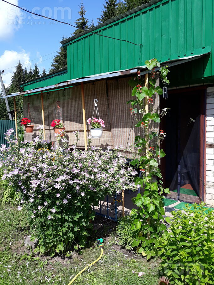 Berzini 2 218a, Bērziņi 2, Daugavpils un raj., Šēderes pag. — maja