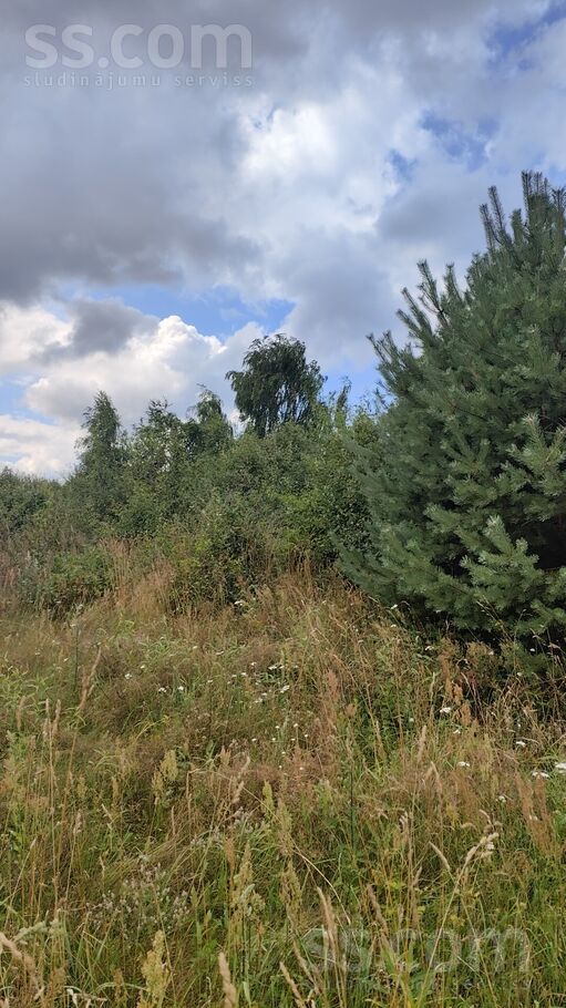 Taremas, Mārupe, Rīgas rajons, Mārupes pag. — zeme