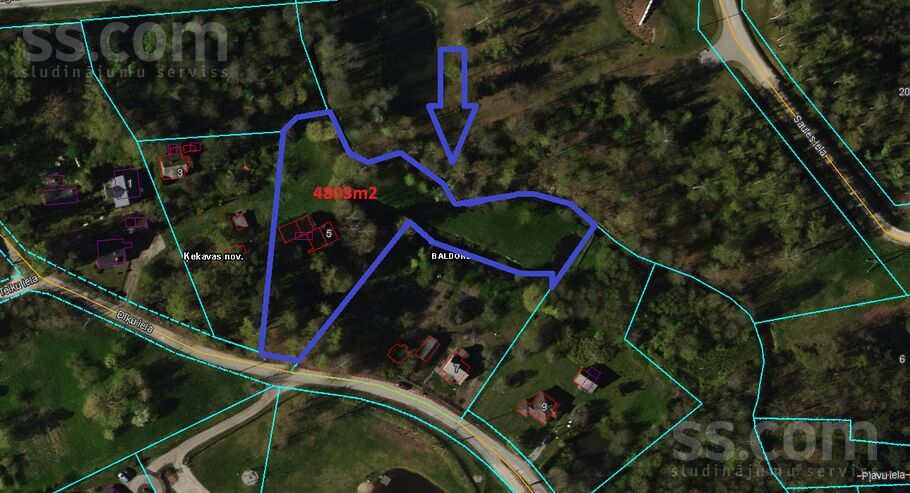 Dīķu iela 5, Rīgas rajons, Baldone — maja