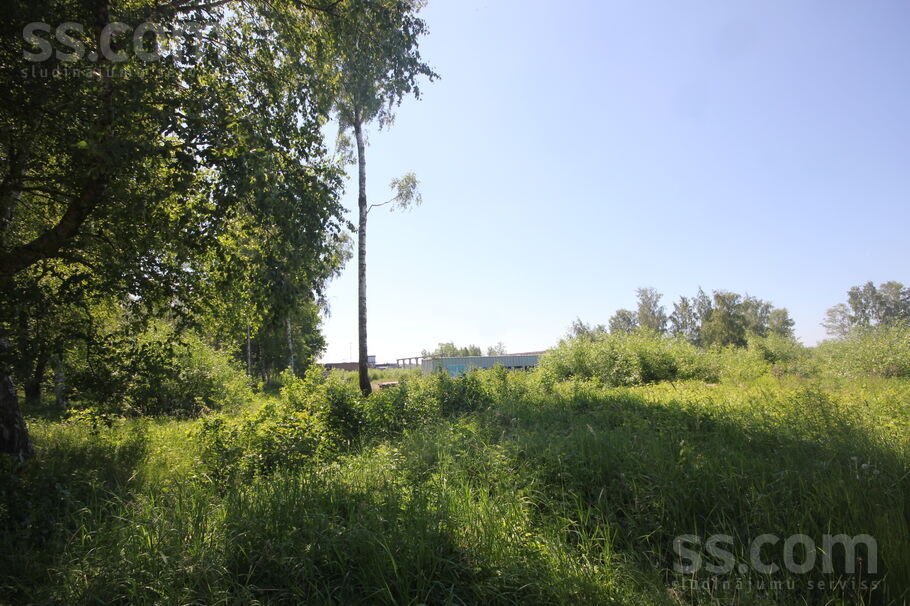 Apšu 1/3, Cimdenieki, Liepāja un raj., Grobiņas pag. — zeme