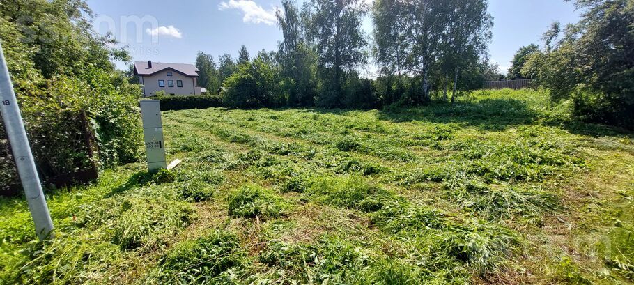 Dāboliņu iela 1, Rīgas rajons, Baloži — zeme