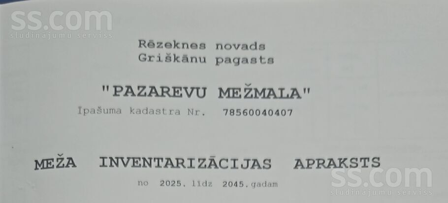 Pazareva, Rēzekne un raj., Griškānu pag. — mezs