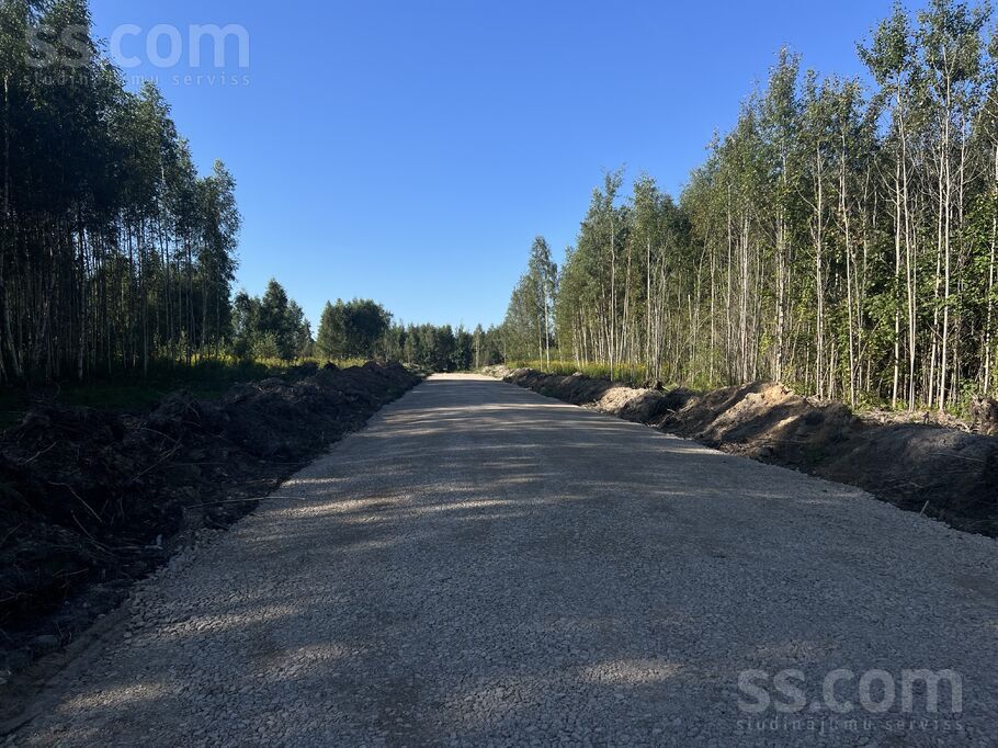 Paegļu iela, Rīgas rajons, Salaspils — zeme