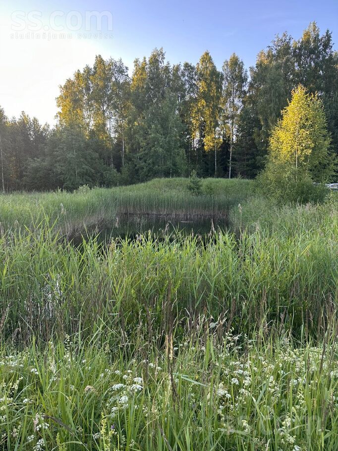 Alksnaji, Alksnāji, Talsi un raj., Mērsraga pag. — zeme