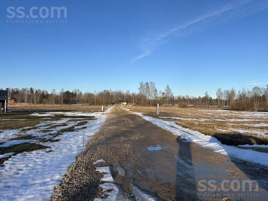 Ziedlejas 12, Ogre un raj., Ogre — zeme