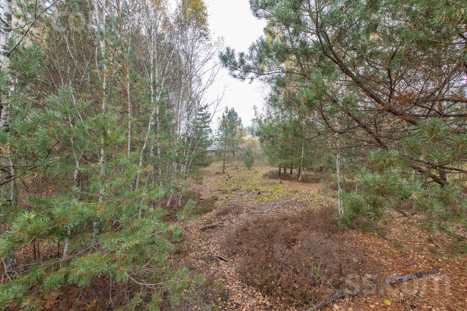 Rīta ceļš 4, Medemciems, Rīgas rajons, Olaines pag. — zeme