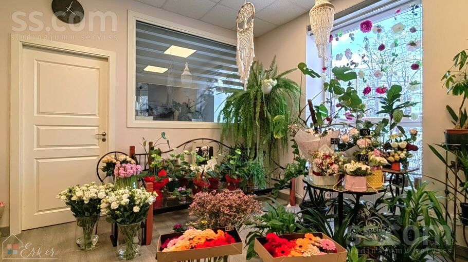 Bauskas 33, Rīga, Torņakalns — telpa