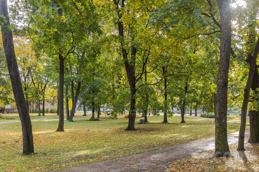 Katoļu 9, Rīga — dzivoklis