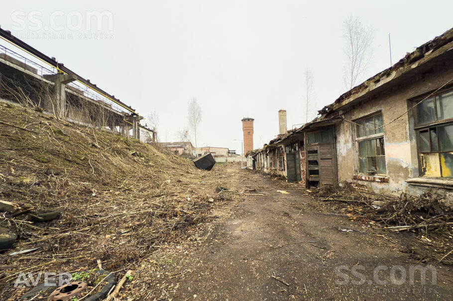 Muitas iela 3t, Daugavpils un raj., Daugavpils — zeme