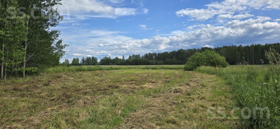 Romantiskās 10, Varkaļi, Rīgas rajons, Salas pag. — zeme