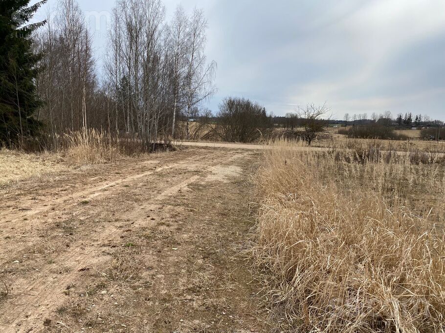 Liepu iela 7, Auciems, Cēsis un raj., Raiskuma pag. — zeme