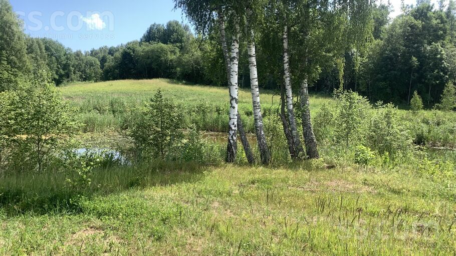 Lauku īpašums, Dzirciems, Tukums un raj., Zentenes pag. — zeme