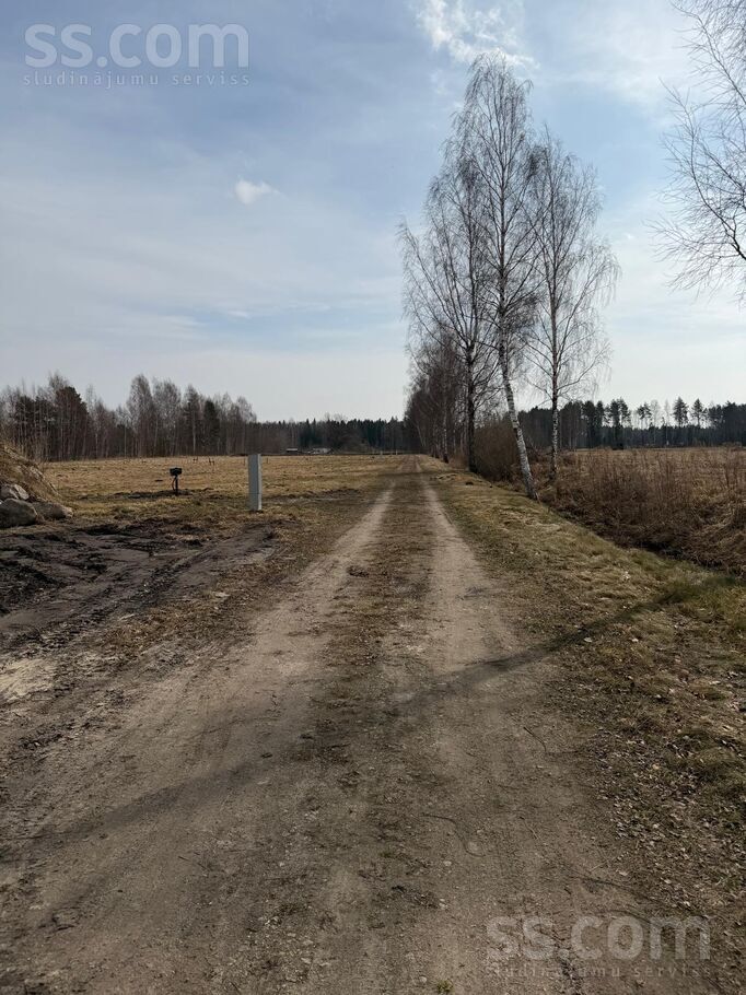 Saktiņas, Brankas, Jelgava un raj., Cenu pag. — zeme