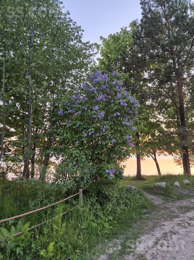 Platkāju iela, Rīgas rajons, Saulkrasti — zeme