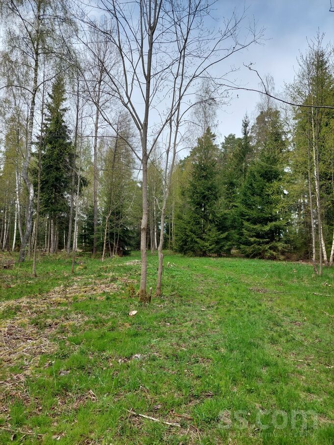 Kāņciems, Talsi un raj., Ģibuļu pag. — zeme